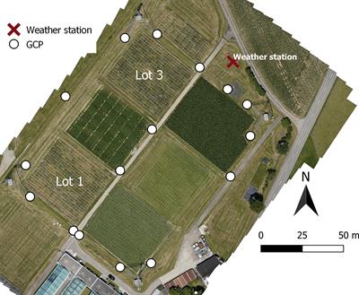 Assessment of Multi-Image Unmanned Aerial Vehicle Based High-Throughput Field Phenotyping of Canopy Temperature